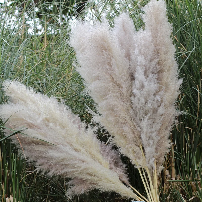 120cm Artificial Pampas Grass Bouquet Pampas Grass Long Dry Plant Decorative Wedding Home Room Christmas Decor Natural Flower