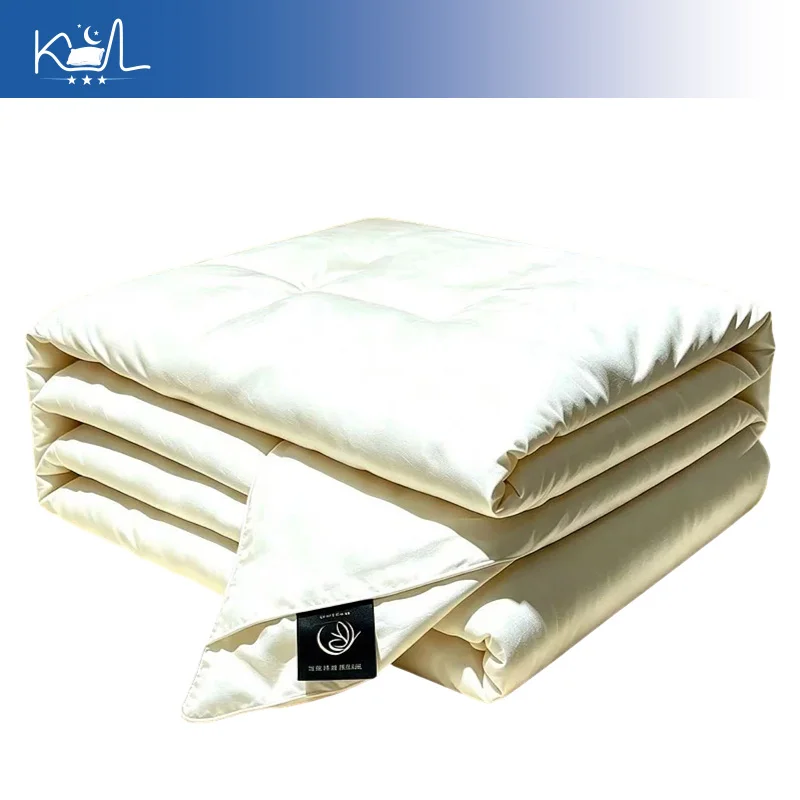 Lightweight Light Luxury Silk Protein Quilt,Sateen Cotton All Season ComforterThick Warm Winter & Spring Autumn Duvet 1.5m