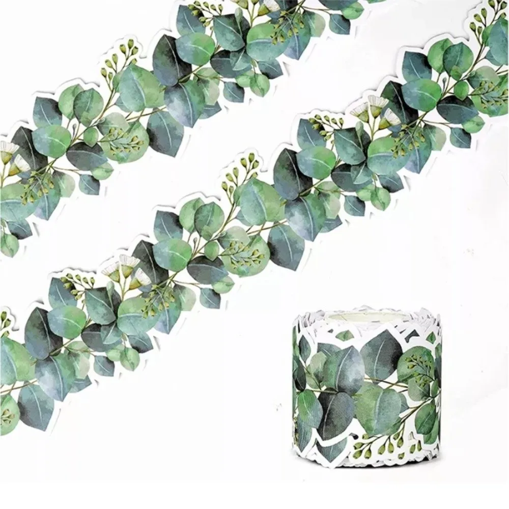 7.6cm*5M Eucalyptus Themed Border Sticker 7.6cm*10M Leaf Pattern Eucalyptus Die-Cut Border Trim Self-Adhesive