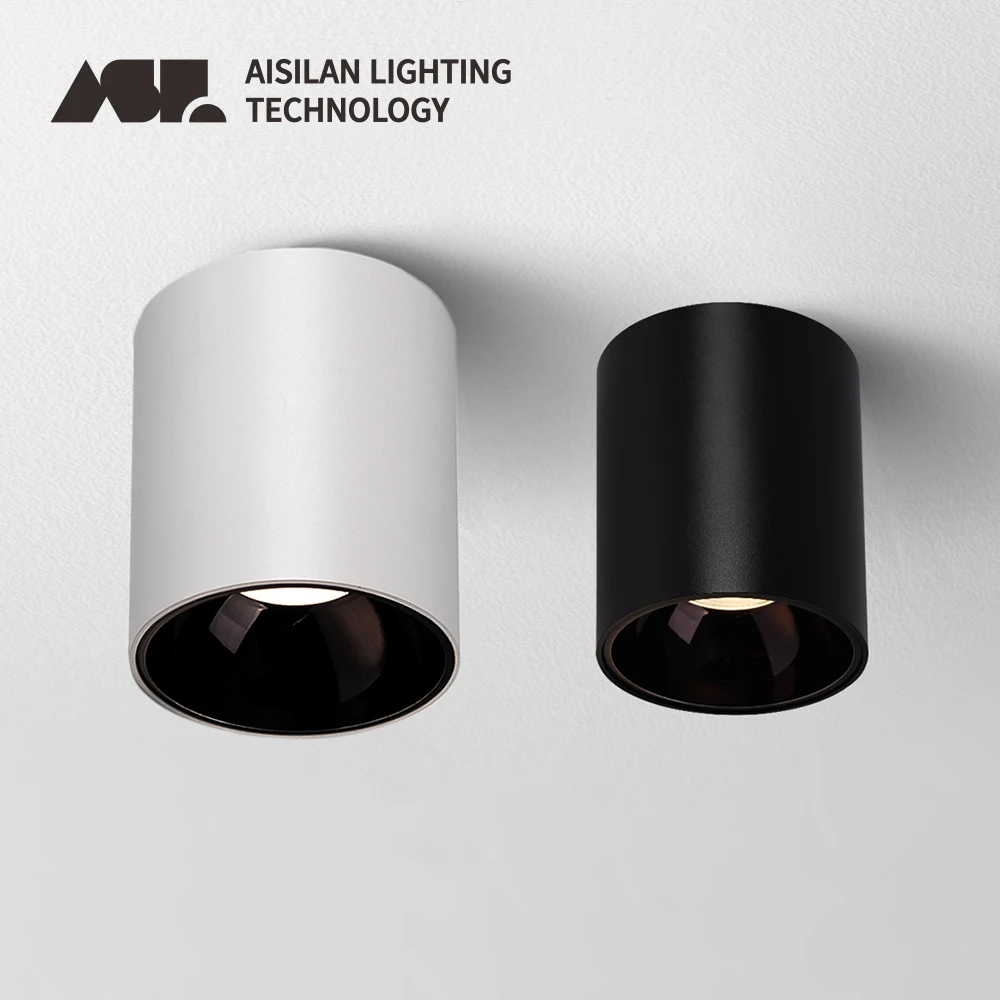 Aisilan IP64 Waterproof Surface Mounted Ceiling Downlight Anti-glare Spotlight Suitable for Living Room Bedroom Hallway