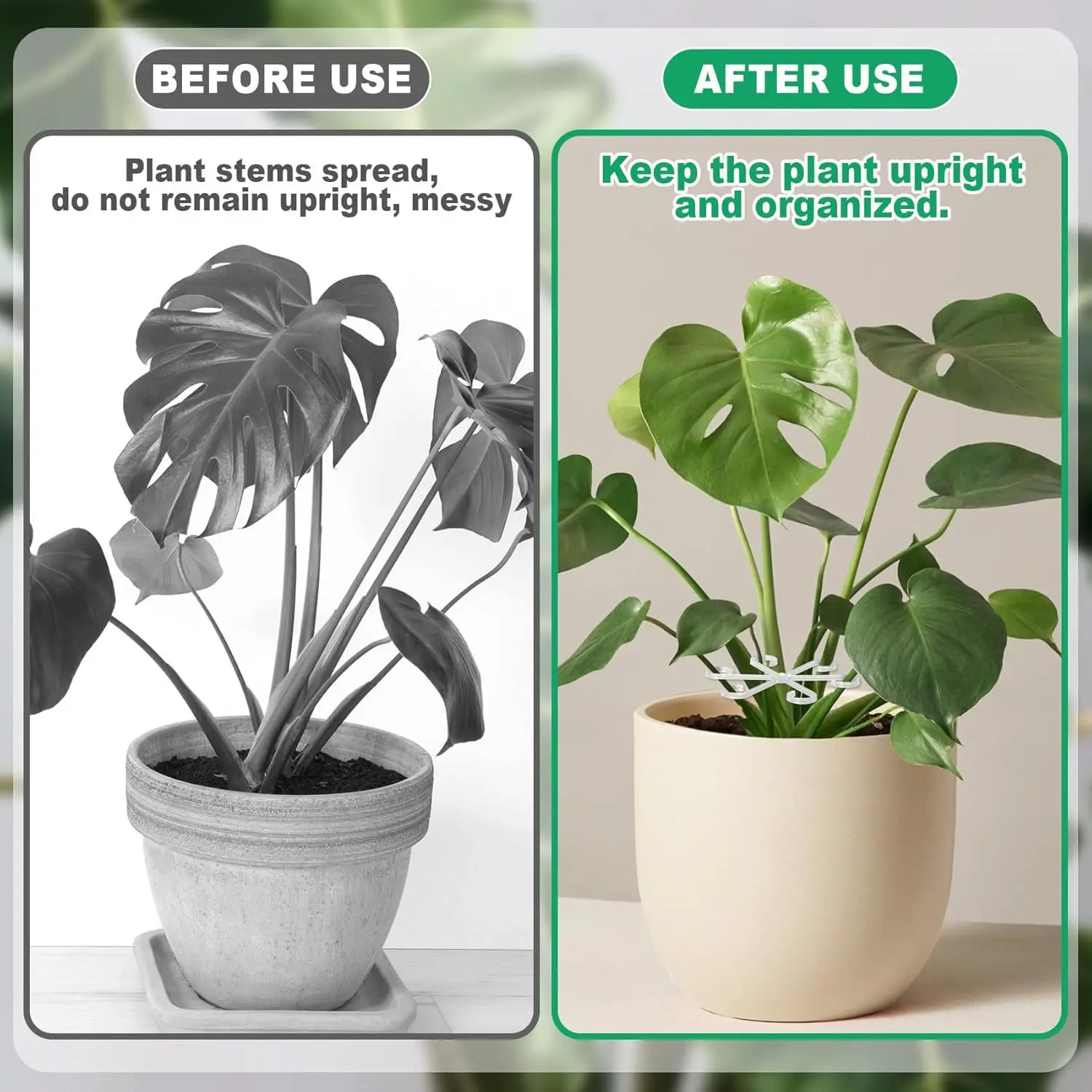 4 قطعة عمود دعم مضاد للتلوين النباتي الأخضر المثبت البستنة فرع مساعد ثابت دعم حامل النبات إكسسوارات الحديقة #5