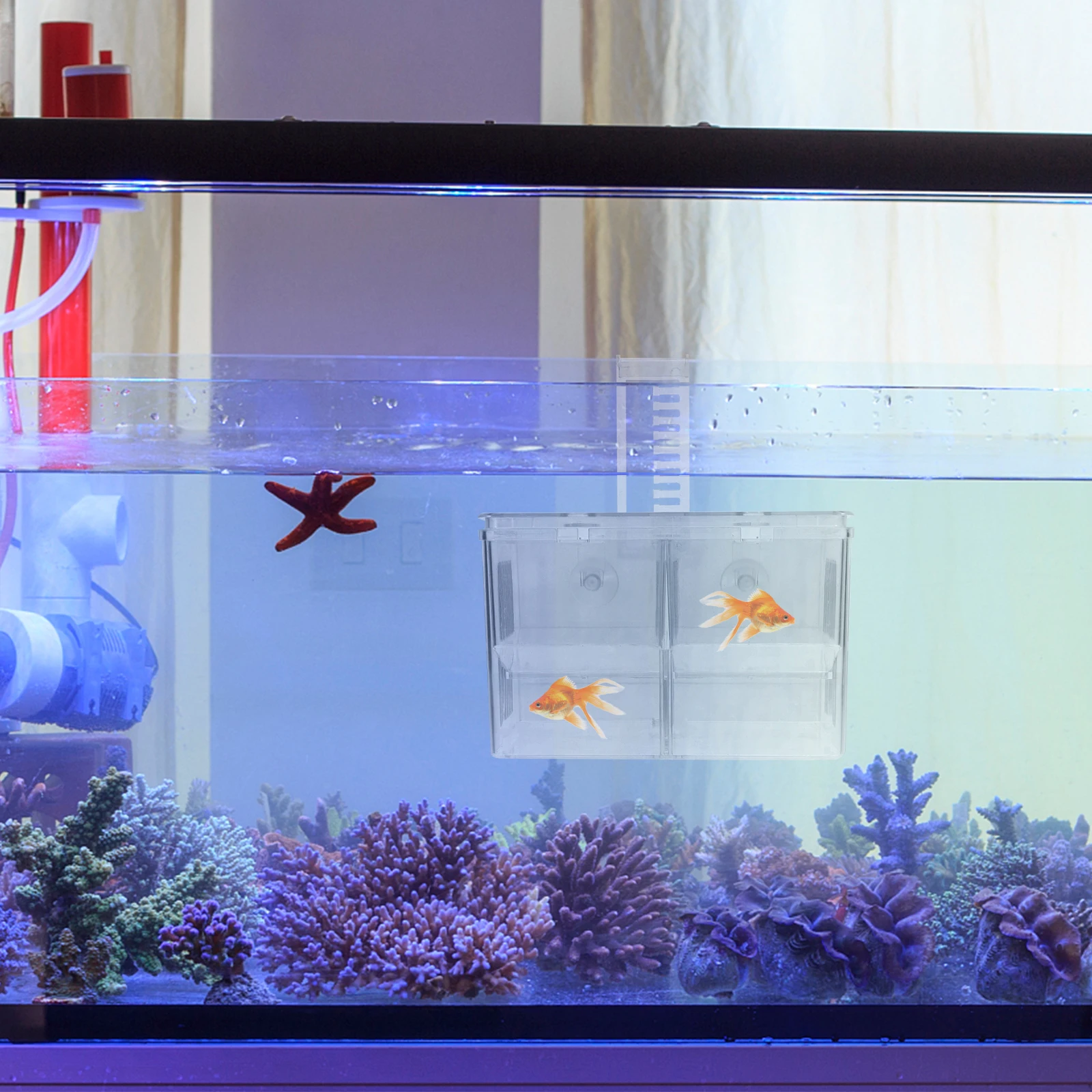 

Hooked Incubation Box Aquarium Breeding Case Separation Net Fish Tank Nursery Hatchery PE Material Durable Practical Easy