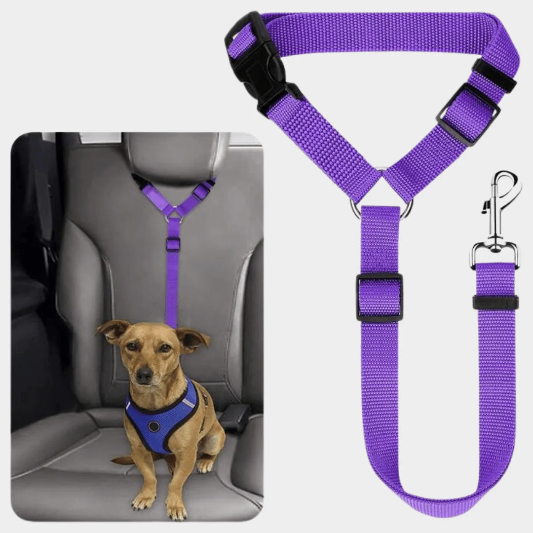 Safety Dog Leash Separation Function Satin Iron Alloy PU Silicone Jeans Scarf Animal Pattern Car Travel Accessories Pet Leash