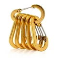6Pcs-Gold