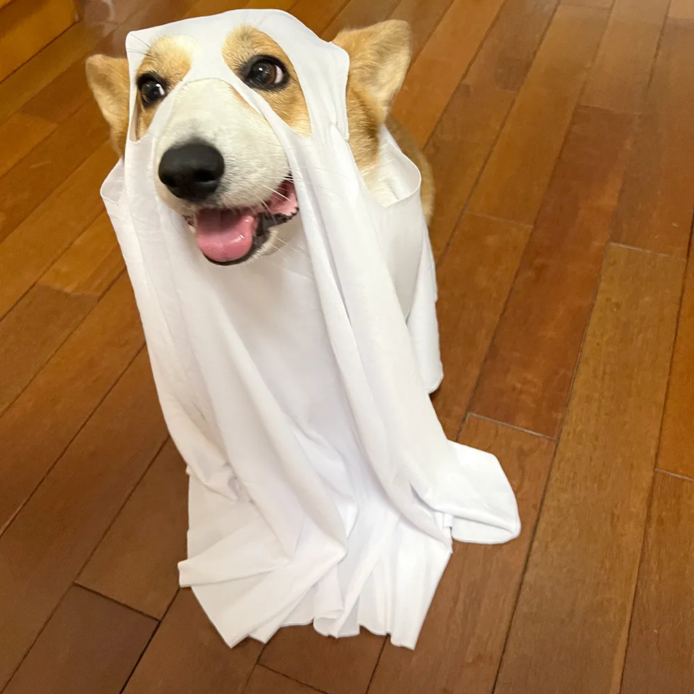 جديد شبح الكلب loween تأثيري الديكور الاسمية رداء مستلزمات الحيوانات الأليفة سماعة العرقية المرحلة زي المرأة Faion صيف 2025
