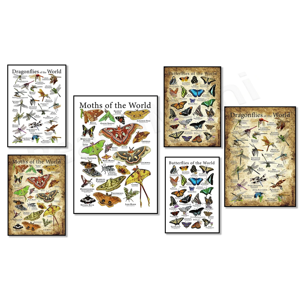 

Moth World Poster, Dragonfly Field Guide, Butterfly Vintage Poster Print Wall Art Canvas Painting Art Print Living Room Decor