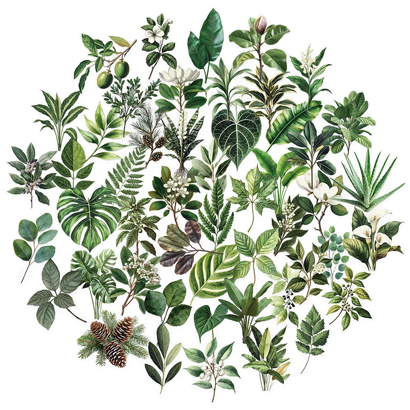 50PCS Green Plant T…
