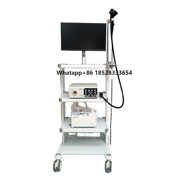 Pet Hospital Clinic Veterinary Endoscopy Tower Flexible Electronic Gastrointestinal Endoscope Veterinary