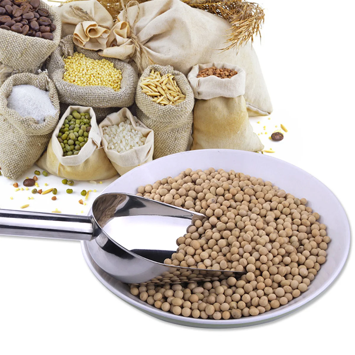 

Multifunctional Scoops Stainless Steel for Pet Food Dry Goods Candies Popcorn Spices Flour（Random Handle Style）