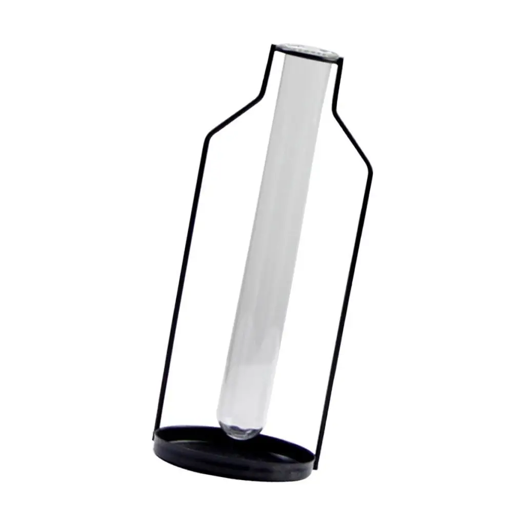 Iron Art Frame Flower Vase Test Tube Vase for Indoor Dining Table Office