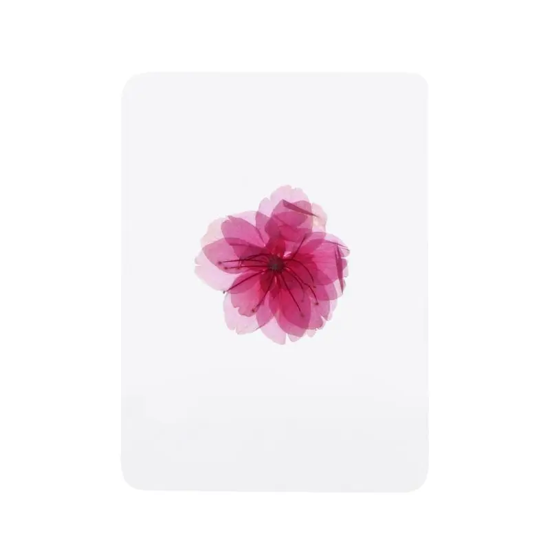 Natural Dried Flowers and Leaves Plant Fillers for Resin Jewelry Pendant Bracelet Scrapbooking DIY Arts Cards