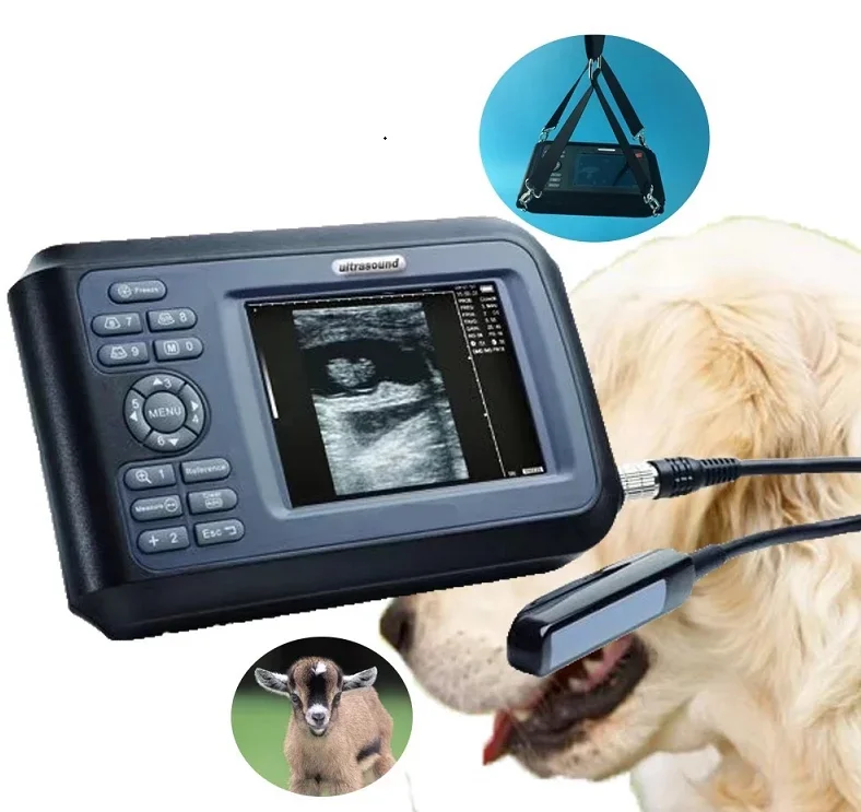 

V8 Amazing Performance Easy To Operate Handheld Veterinary Ultrasound Scanner for Small and Big Animals