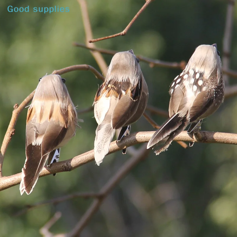1pcs ArtificialFeather birds simulated sparrows, simulated bird props, garden decorations Simulation of sparrows and small birds