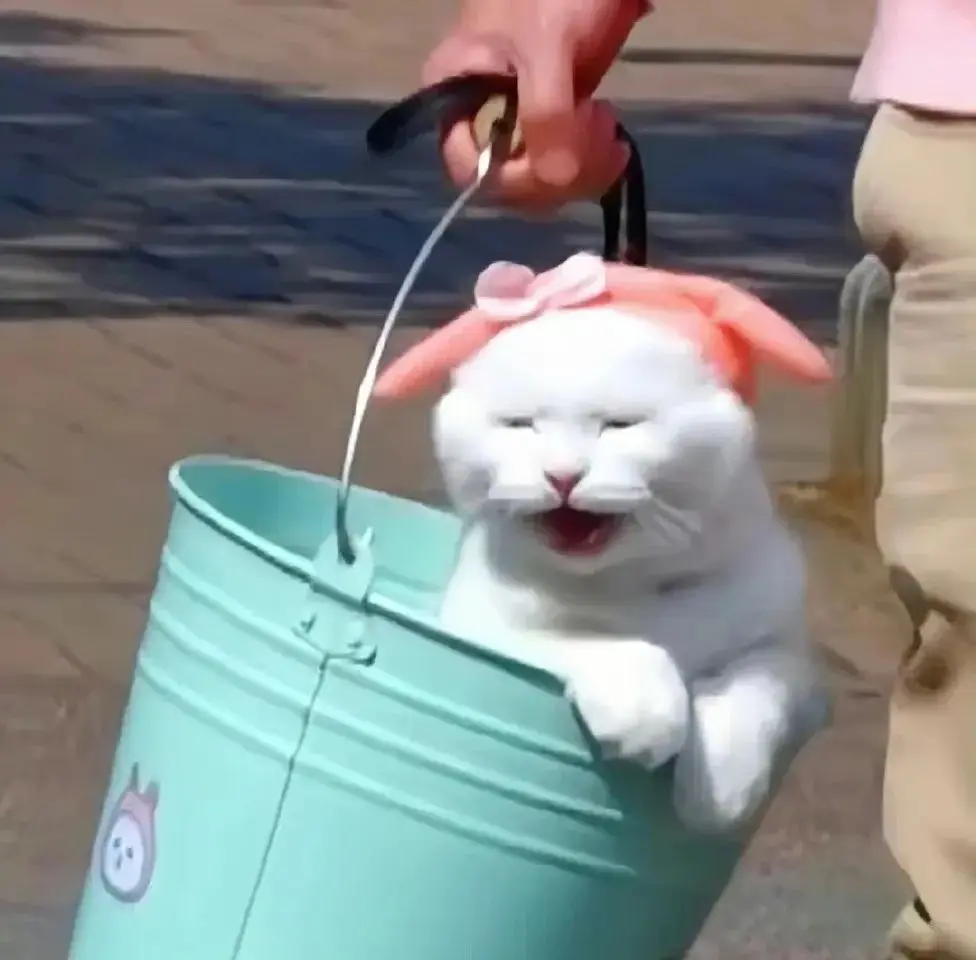 Albero motore anteriore posteriore in metallo per pezzi di ricambio per auto RC 1/16 WPL B36 B16 C14 C24 B24 Henglong Truck R7RB