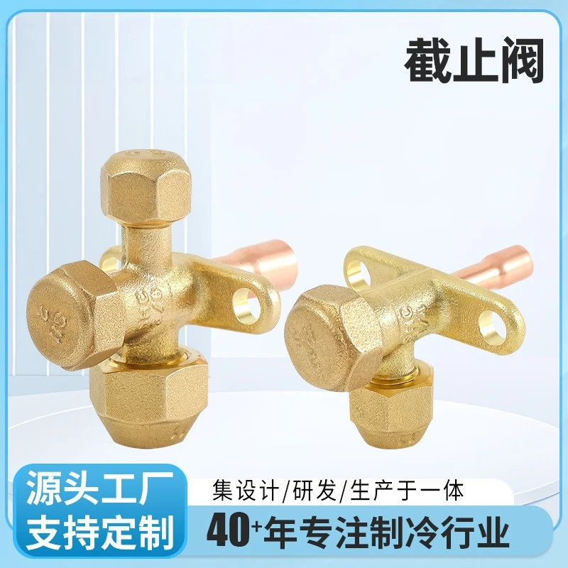 SSV series globe valve brass high temperature and high pressure welding