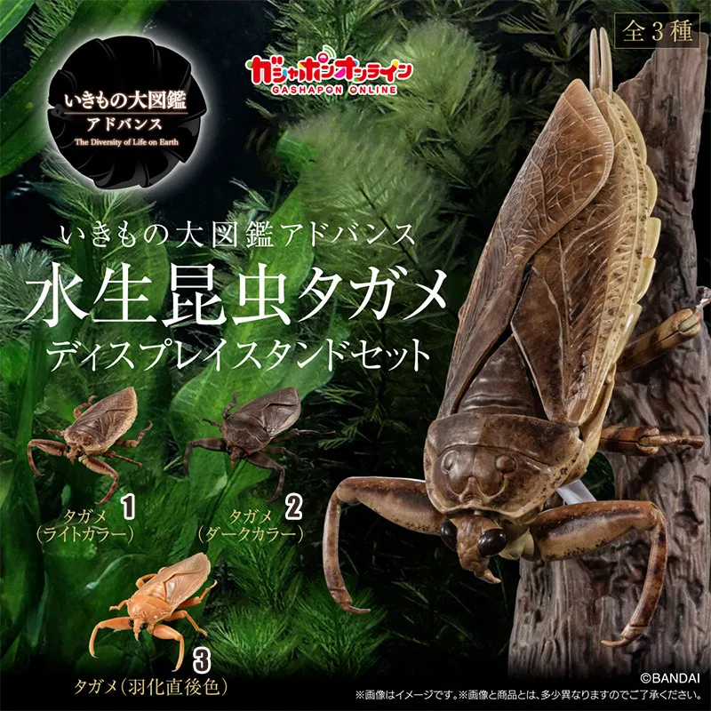 

[In Stock] Bandai Twisted Egg Toys Biological Models Aquatic Insects Models Ornaments Trendy Toys Suitable for Collection