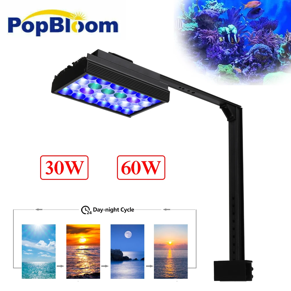 

PopBloom-LED Marine Aquarium Light, Coral Reef, 30W, 60W, SPS, LPS, Saltwater, Nano Aquarium, Sunrise Sunset