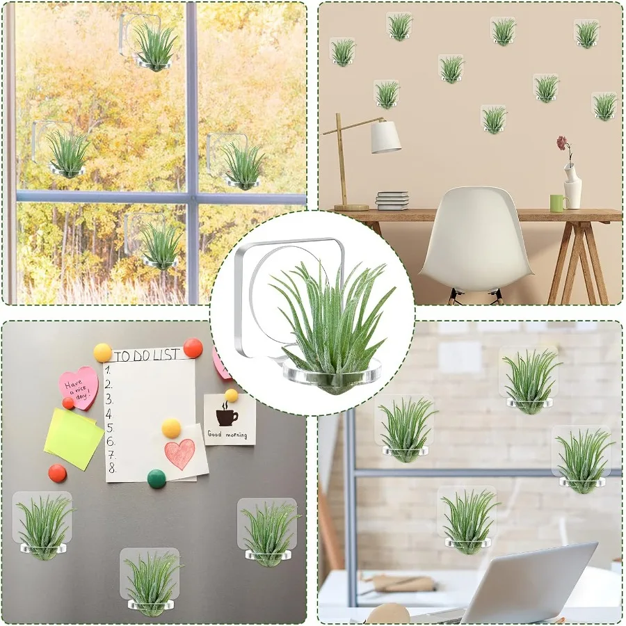 12 قطعة من حامل نباتات الهواء الأكريليك مع شريط تثبيت لتعليق نباتات الهواء على شاشة عرض زجاجية للمنزل #5