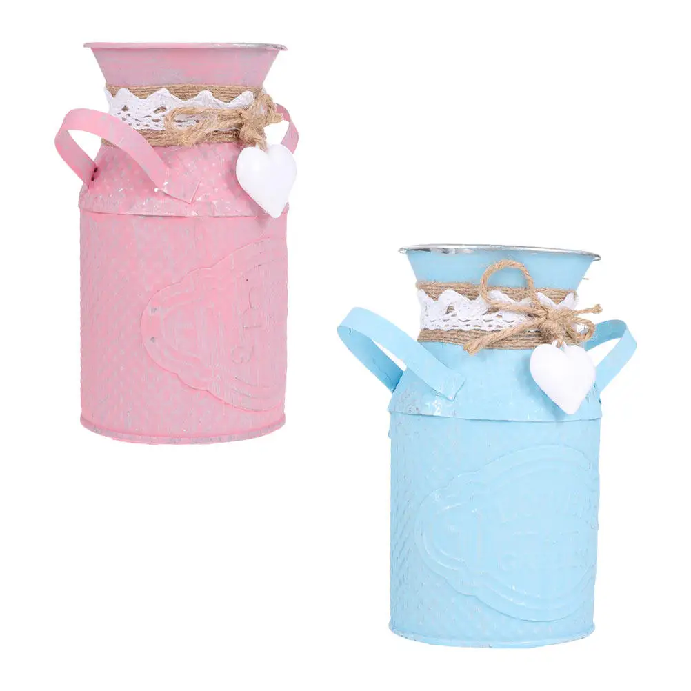 2 Pcs Plant Pot Decorations Flower Pots for Indoor Plants Flowerpot Floral Containers