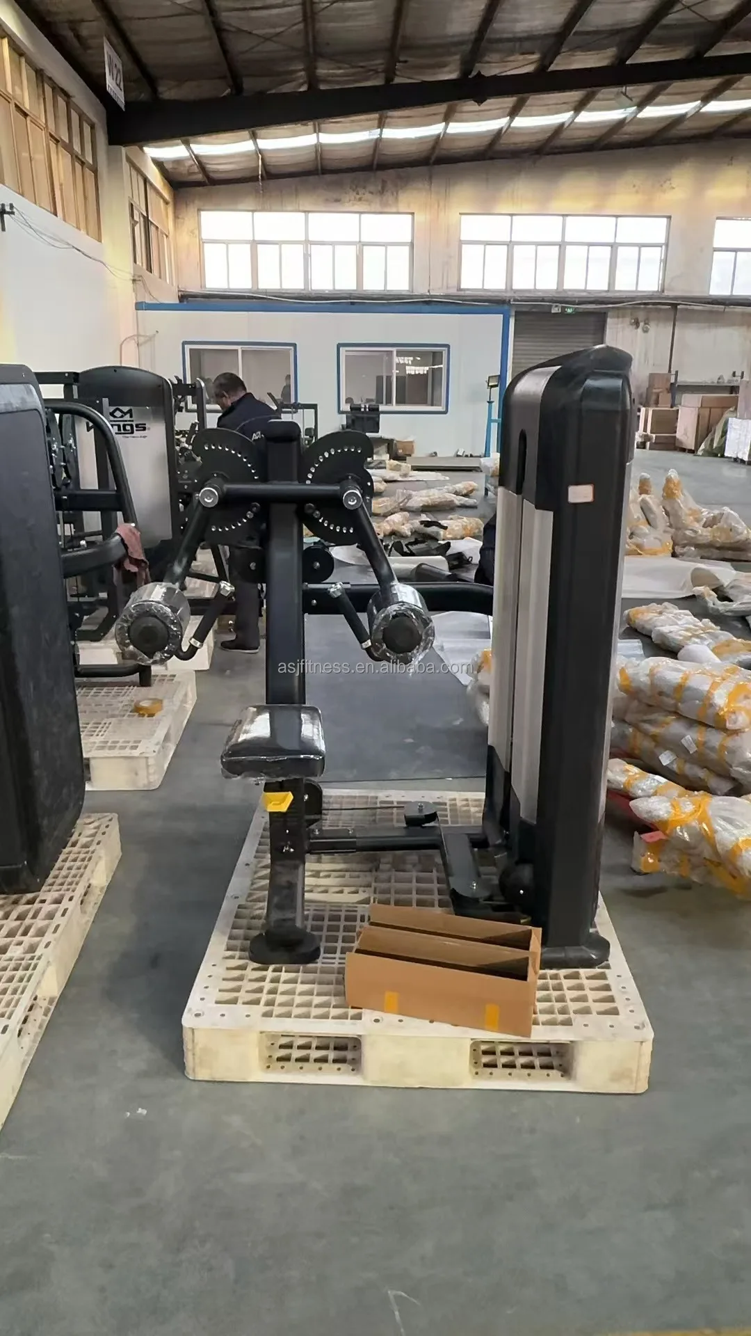 ASJ-DS019 Commercial Gym Equipment Lateral Shoulder Raise Delt Machine Pin Loaded Shoulder Press Lateral Raise Machine