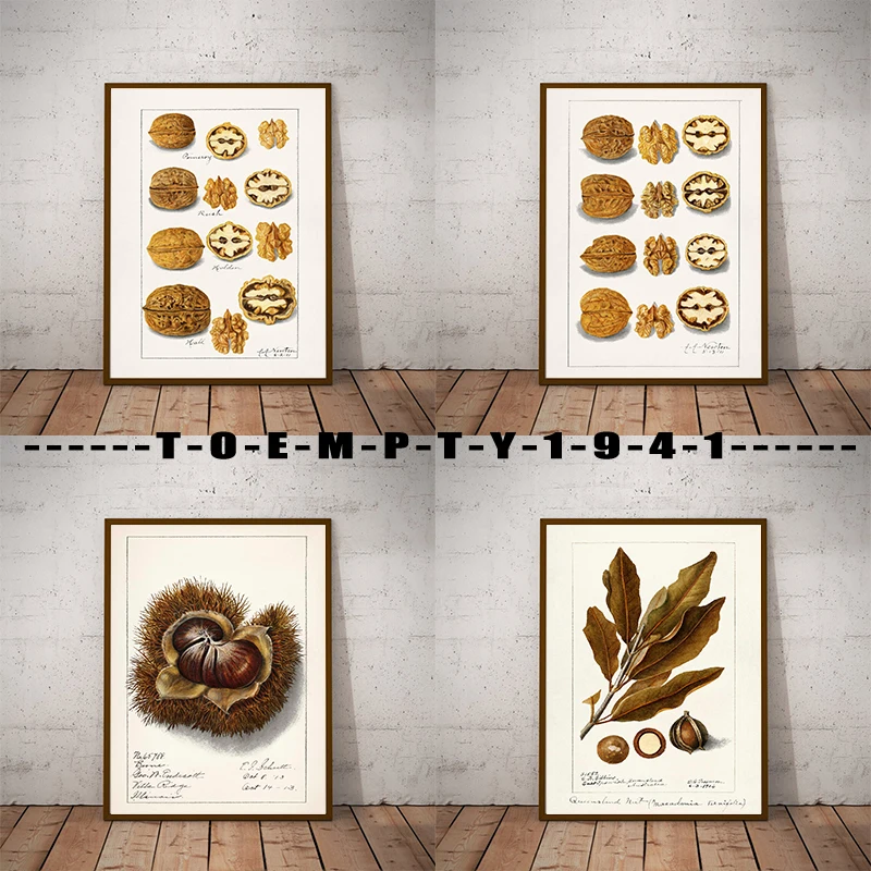 1910s USDA Watercolor Nut Walnuts Painting Poster Canvas Printing Vintage Watercolor Nut Wall Decor for Home Kitchen Restaurant