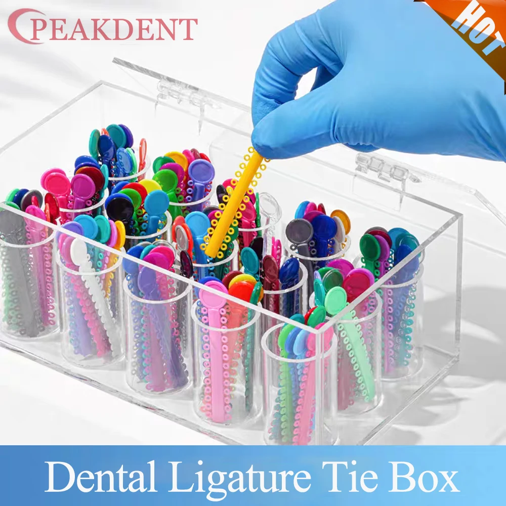 

1 коробка, чехол для галстука для зубной лигатуры, акриловый ортодонтический силовой цепной россып, лигатурный галстук, 15 отверстий, чехол для размещения арки, коробка для хранения