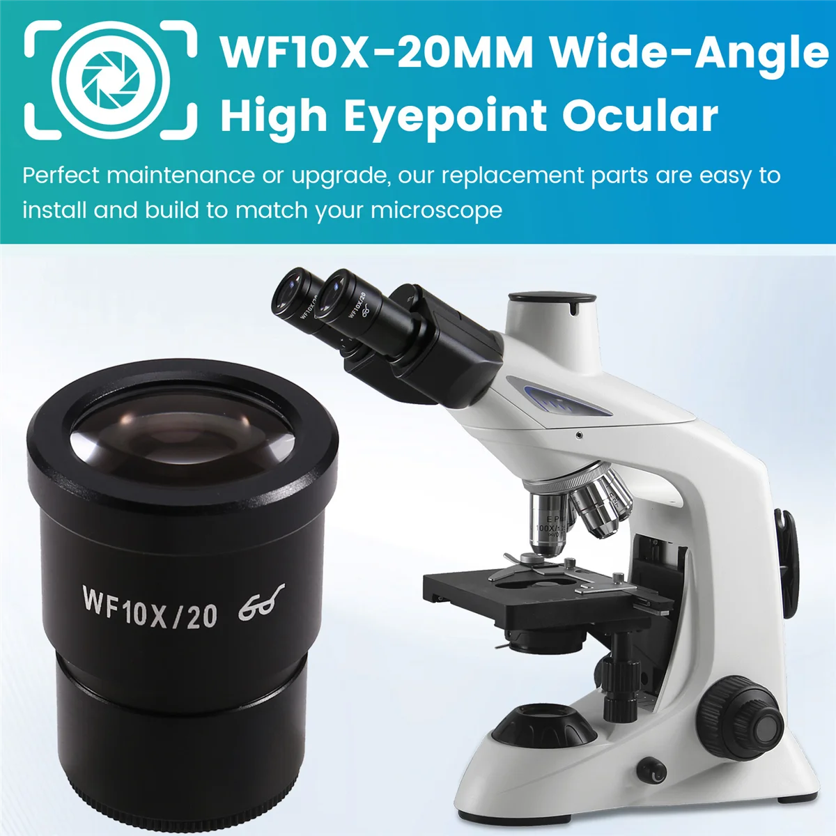 ABNJ 2PCS WF10X-20MM Wide-Angle High Eyepoint Ocular for Binocular Trinocular Stereo Microscope Installation Interface