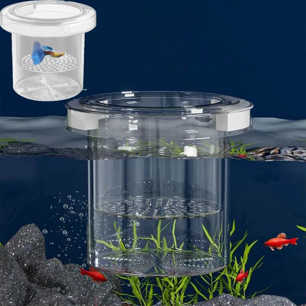 Acrylic Aquarium Isolation Box - Aquarium Fish In Bowl avis et prix