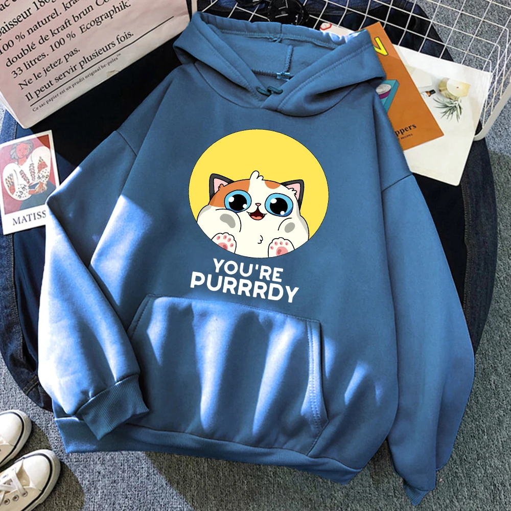 You're Purrrdy – sweat à capuche imprimé chat mignon pour femme, pull ample avec poches, polaire, assorti avec tout, Hip Hop, Streetwear, automne
