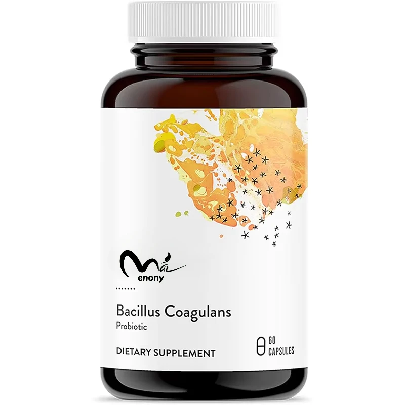 

Bacillus subtilis probiotics - shelf stable probiotic supplements promote gastrointestinal health -60 capsules