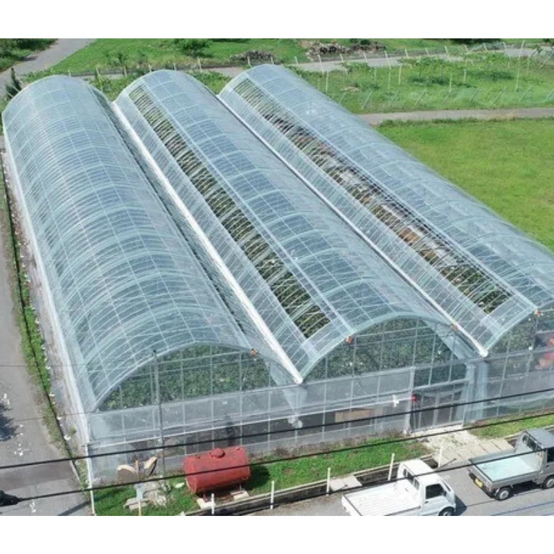 

Customized greenhouseRecommend Agriculture Tomato Multi-Span Tunnel Serre Agricole Green House Metal Frame Strawberry Thin Film