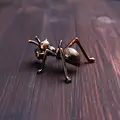 Ant