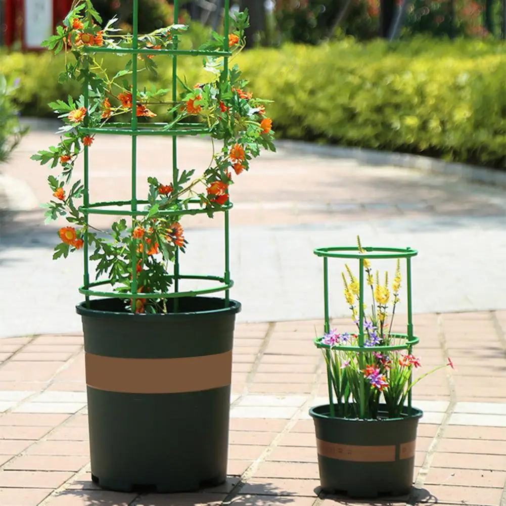 Tomato Plant Support Cages Garden Cucumber Trellis Stable Structure Vegetables Flowers Support Ring Rack for climbing vegetables