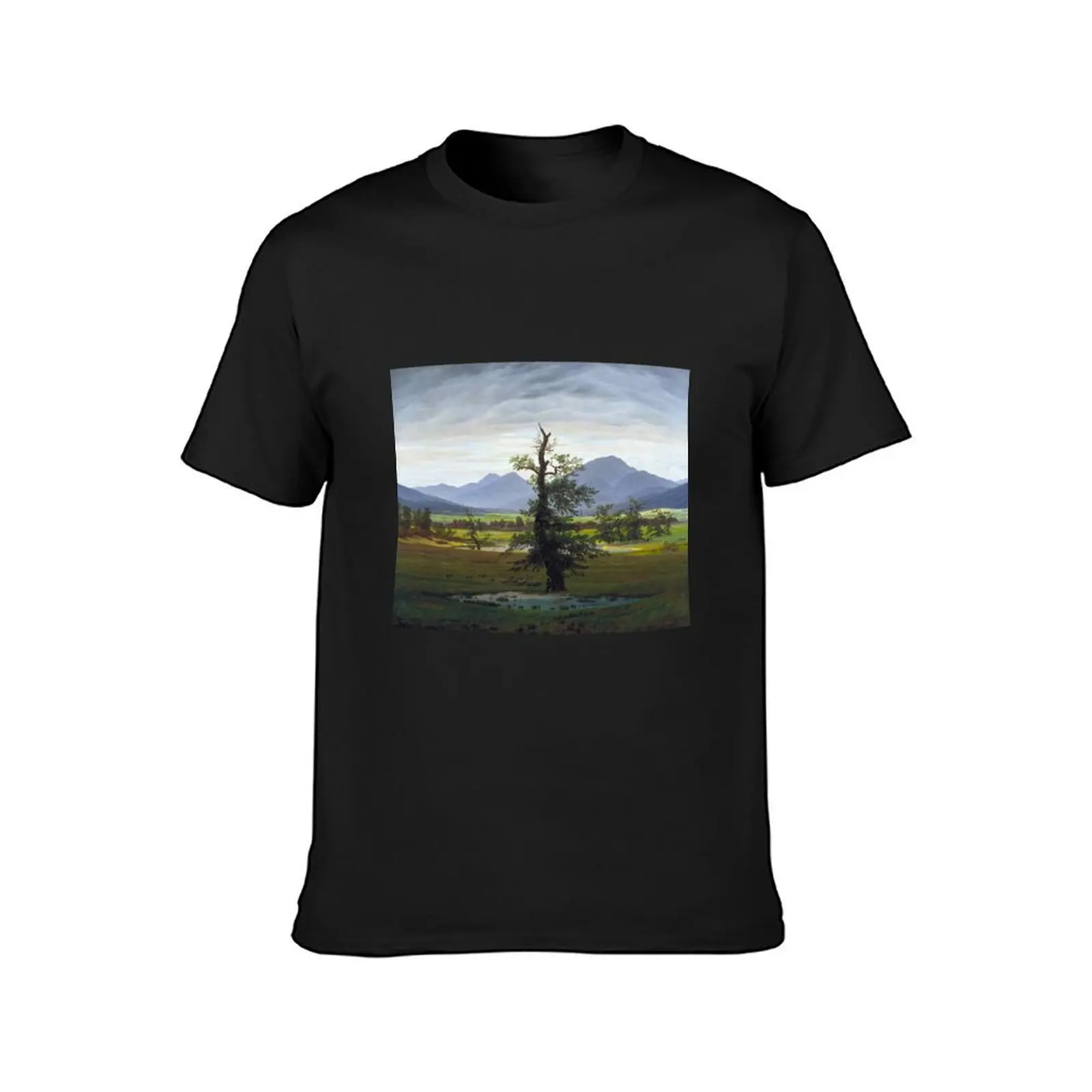 Caspar David Friedrich - The Lone Tree T-Shirt Short sleeve tee summer tops oversized t shirts for men