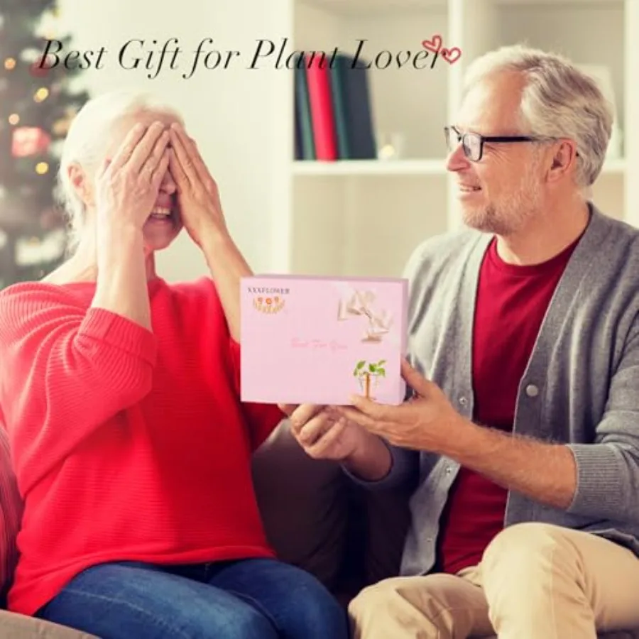 Plant Terrarium Wooden Stand Hydroponic Planter Bulb Glass Metal Swivel Holder Retro Air Plants Water Plants for Home Office Dr