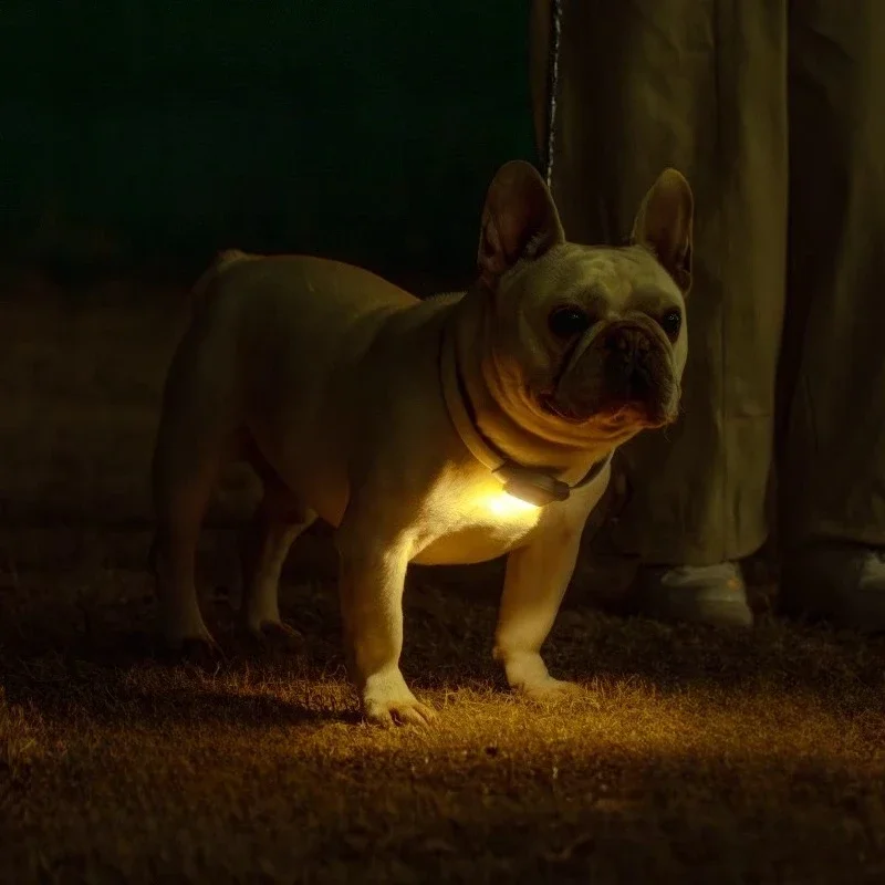 Luz LED impermeable para jaula  mascotas, lámpara colgante recargable para exteriores para perros, accesorios  iluminación d
