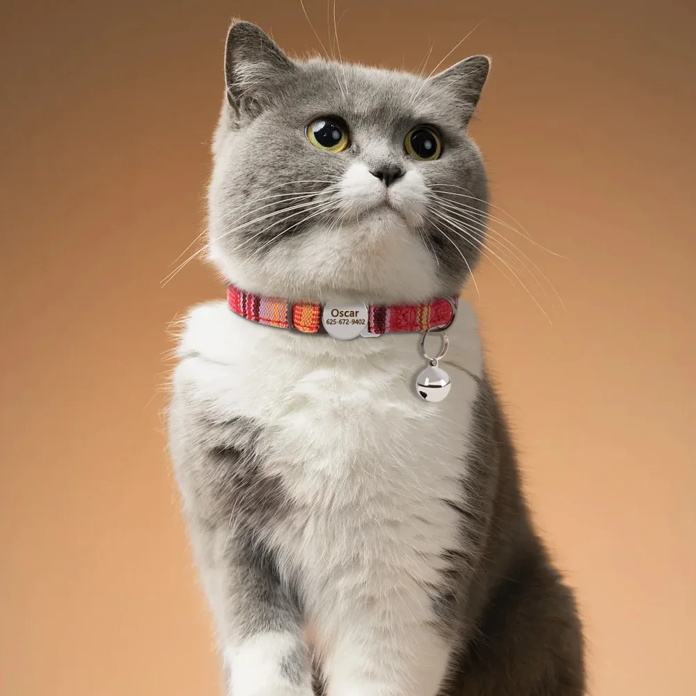 Personalisiertes Katzenhalsband, verstellbare Halsbänder für kleine Hunde und Kätzchen, kostenlose individuelle ID-Namenshalsbänder für Haustiere, Anti-Verlust-Halsbänder für Katzen – Detail 16