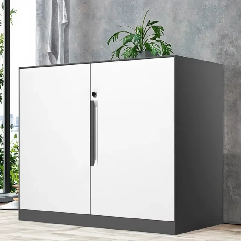 CHNSNILE 2-Door Metal Mobile Office Storage File Cabinet Double Tiers Foldable with Waterproof Steel Handle for School