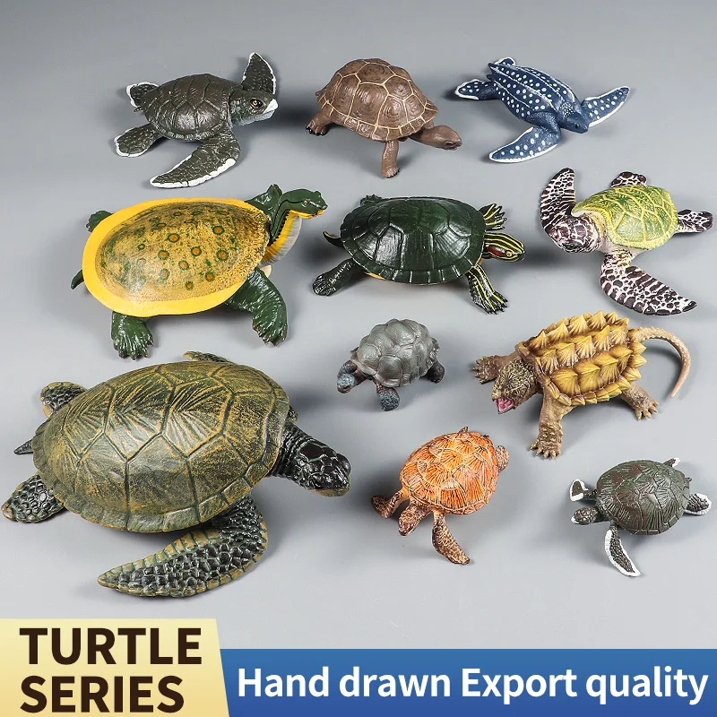 تمثال نموذج سلحفاة بحرية من الجلد - الحياة البحرية مقلد على شكل حيوان صلب من مادة PVC هدية لعبة تعليمية للأطفال #2