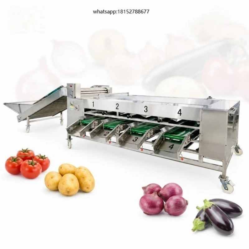 Vegetable Fruit Sorting Grader Machine