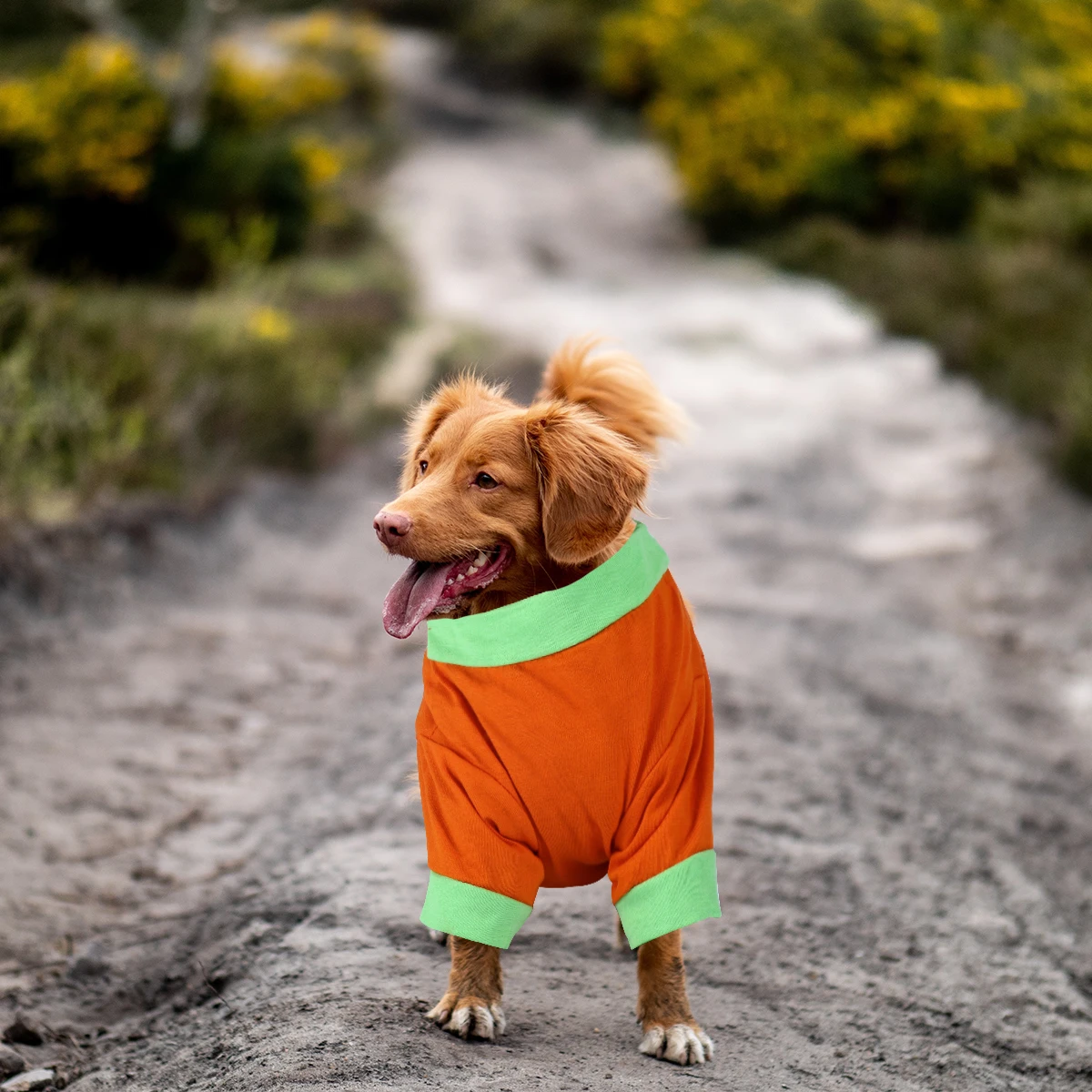 

Halloween Pumpkin Costume Outfit Skirt Dress Breathable Comfortable Festival Cosplay Party Travel Dog Clothes Pet Garments Dog