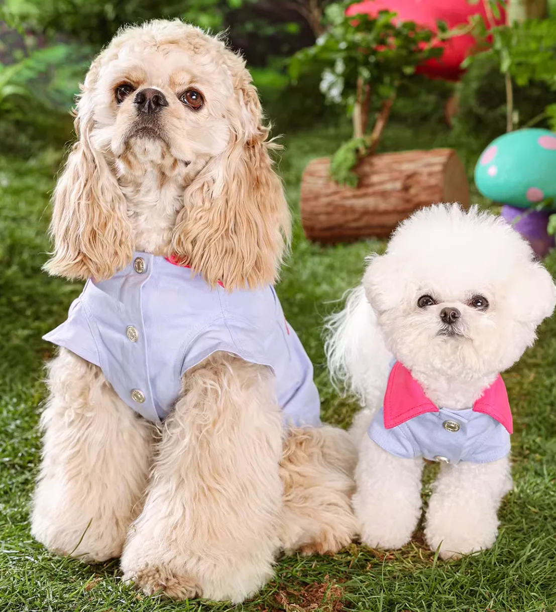 

Pet Cat dog Clothes for Puppy Small medium dog chihuahua french bulldog