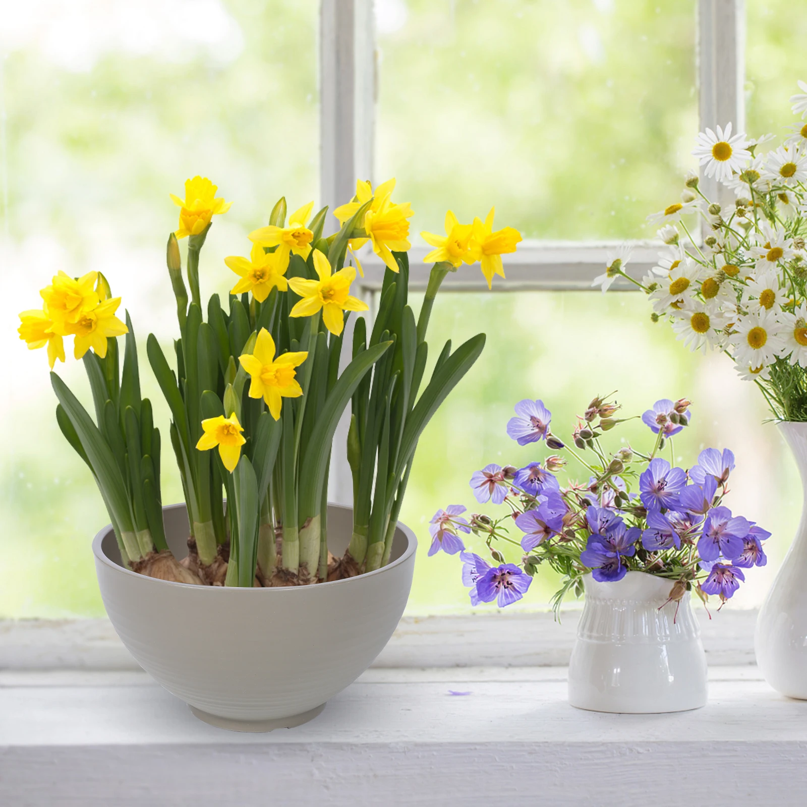 

Hydroponic Flower Pot Easy to Move Flowerpot Planter Bowl Water Lily Great Texture Indoor for Garden Pp Resin Container