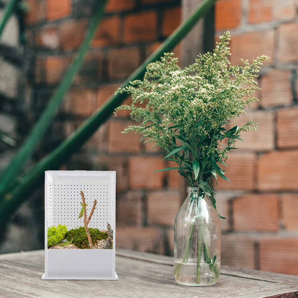 

Acrylic Reptile Terrarium Box for Small Pets Breeding Spider Feeding Container Clear Insect Habitat Transparent Tank