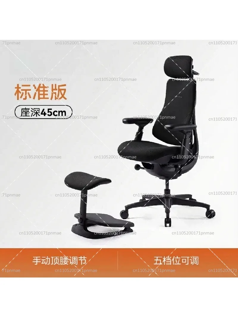 Relaxed Dynamic Ergonomic Office Chair with Lumbar Support, Adjustable Height