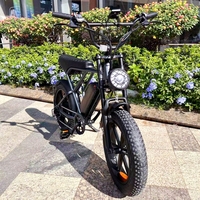 250W/750W/1000W Fat Tire E-Bike Rear Hub Motor Fatbike 48V 15ah Battery Beach Electric Bicycle H9 for Salecustom