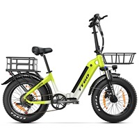 TT GO F6 Two Wheel Electric Bike 350W Motor 36V25AH Battery 20\