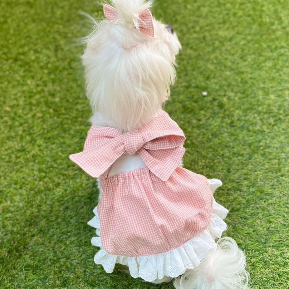 Fashion INS Designer Dog Fashion Princess Pink Grid Bow Tie Suit Skirt Lace Tie Dog Skirt Cute Comfortable Shirt For Small Dogs