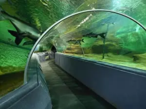 Cámara subacuática subacuática PTZ POE IP de alta velocidad de 5MP 100M para pescar