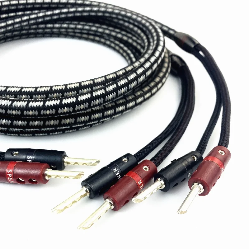 Cavo per altoparlante audio HiFi Audiophile Type8 OFC con spina a banana BFA placcata in argento per amplificatore Home Theater Sistema lettore DVD/CD